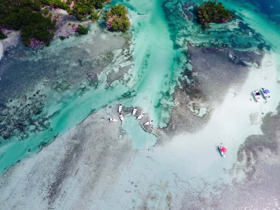 Key West: Eco Safari Sandbar Tour with Snorkeling - Quick hits before you go