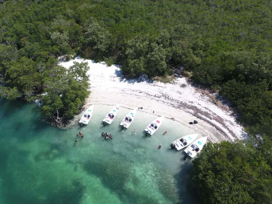 Key West: Eco Safari Sandbar Tour with Snorkeling - Who this eco safari sandbar tour suits best