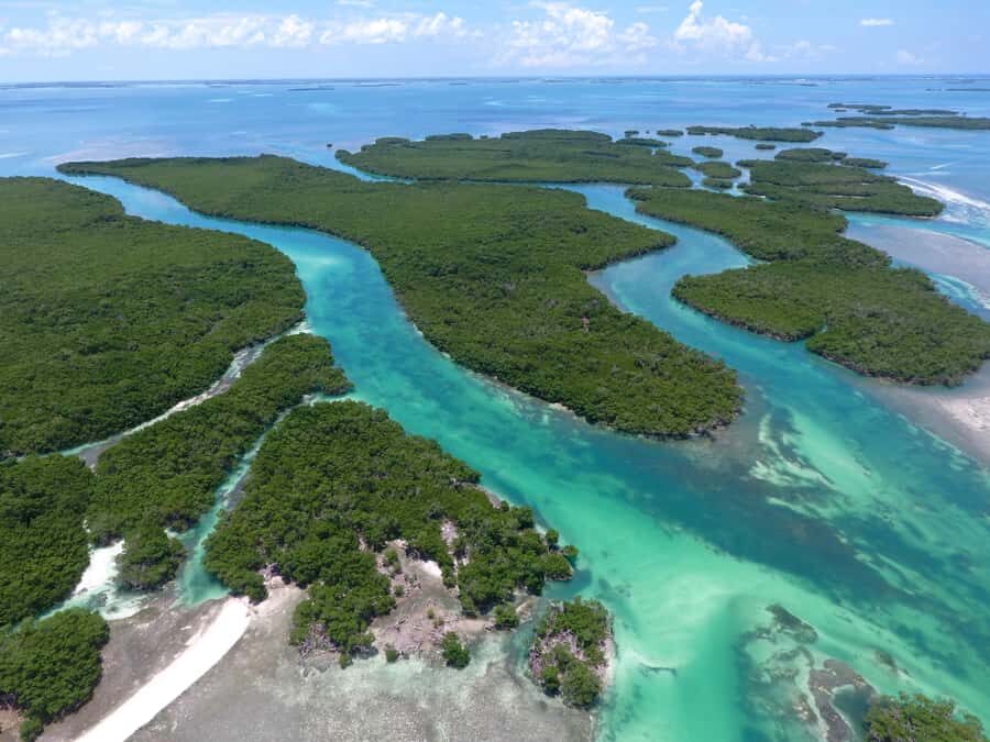 Key West: Eco Safari Sandbar Tour with Snorkeling - Wildlife spotting from a small boat: what you should actually look for