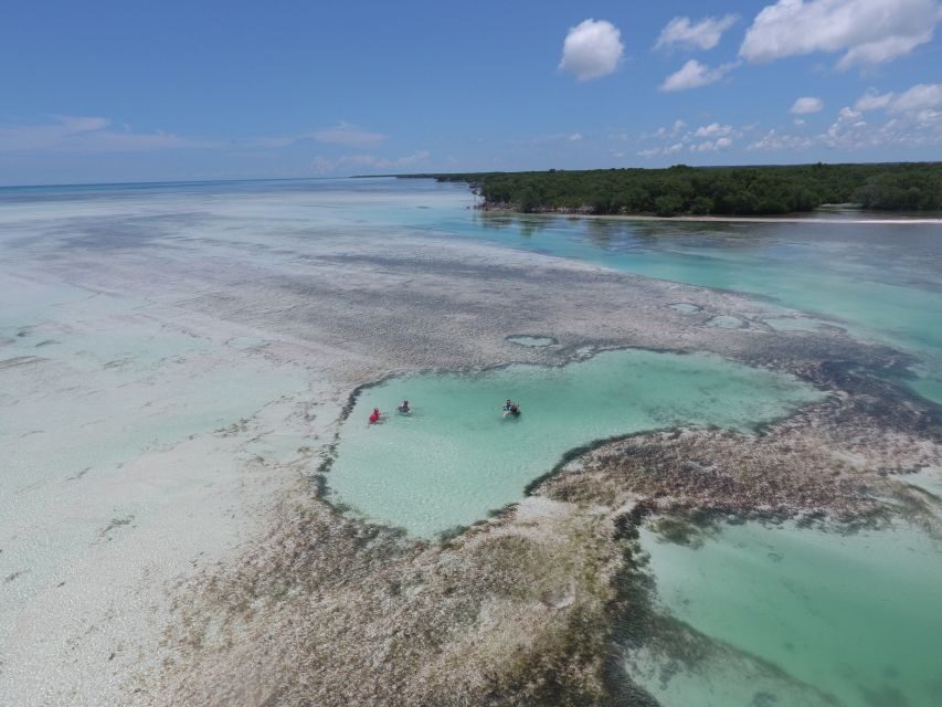 Key West: Eco Safari Sandbar Tour with Snorkeling - The return route: back through the mangrove maze