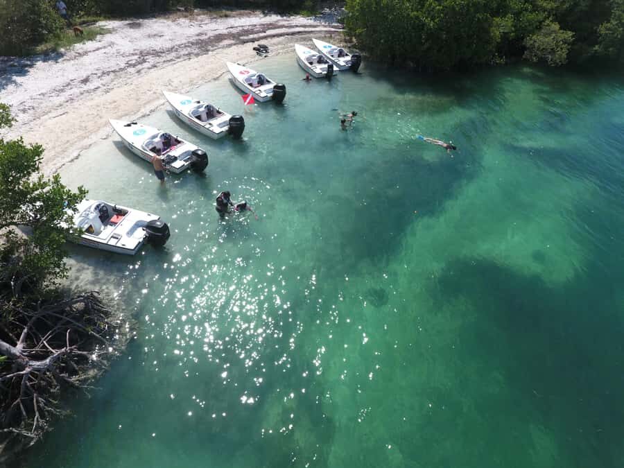 Key West: Eco Safari Sandbar Tour with Snorkeling - Driving Key West’s backcountry through a mangrove maze