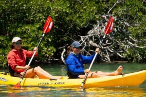 Key West: Full Day Tour of Key West National Wildlife Refuge - Kayak Time Through Calm Water: Gliding Inside the Mangroves