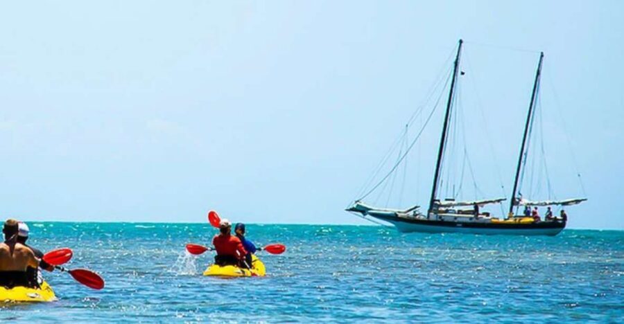 Key West: Full Day Tour of Key West National Wildlife Refuge - Quick Decision Guide: Should You Book This Key West Refuge Tour?