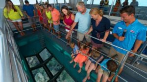 Key West: Glass Bottom Boat Reef Tour with Sunset Option - The 105-minute flow: what happens during the ride