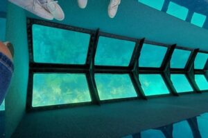 Key West Glass-Bottom Boat Tour with Sunset Option - Western Dry Rocks: What You’ll See Through the Glass