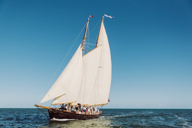 Key West Historic Schooner When And If Sunset Cruise - Wildlife in the National Marine Sanctuary: what you can realistically spot