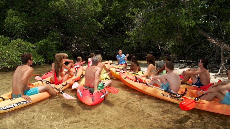 Key West: Island Adventure Explore the Hidden Backcountry - Water toys included: paddleboarding and lily pad fun
