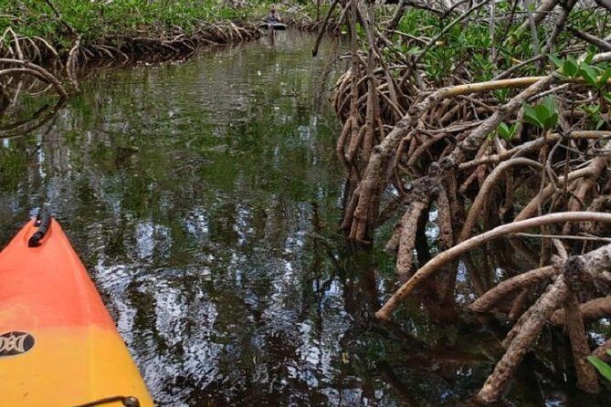 Key West Kayak Rental - Key West Kayak Rental: Quick Picks Before You Paddle