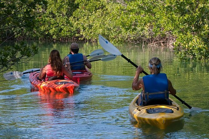 Key West Kayak Rental - Check-In, Maps, and Your Mini Lesson Before Launch