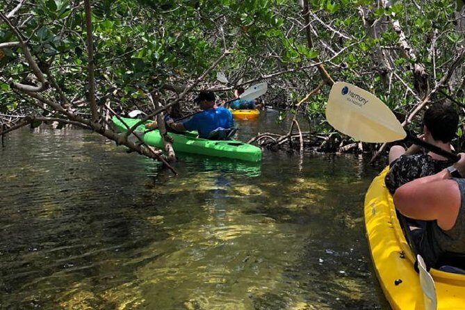 Key West Kayak Rental - Your 2-Hour Paddle Plan: Mangrove Creeks, Sea Grass Beds, and Tunnels