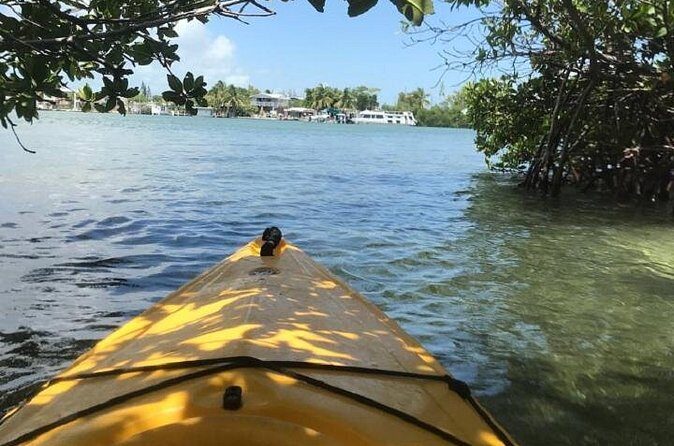 Key West Kayak Rental - Where to Stop for Comfort: Supplies, Shade, and Nearby Amenities