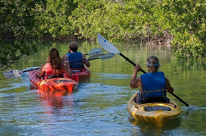 Key West Kayak Rental - Price and Value: What $40 Gets You in Key West