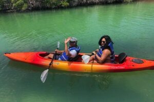Key West Mangrove Kayak Eco Tour - Wildlife spotting: what you can look for on the water
