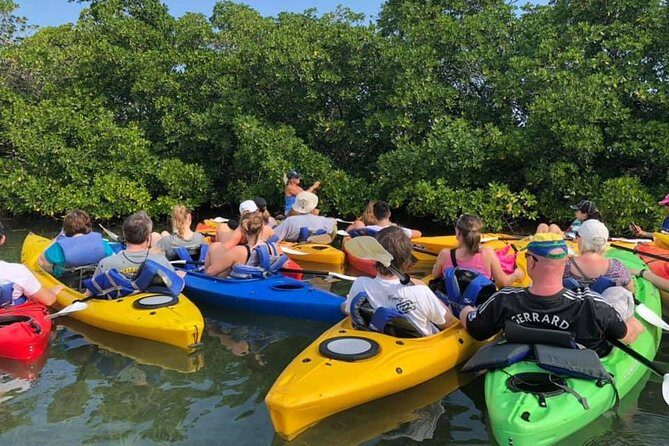 Key West Mangrove Kayak Eco Tour - Choosing a single or double kayak without second-guessing yourself