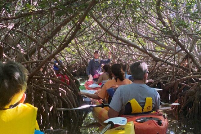 Key West Mangrove Kayak Eco Tour - Comfort tips that actually matter in Key West heat