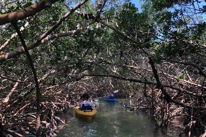 Key West Mangrove Kayak Eco Tour - Timing, group size, and planning your day around it
