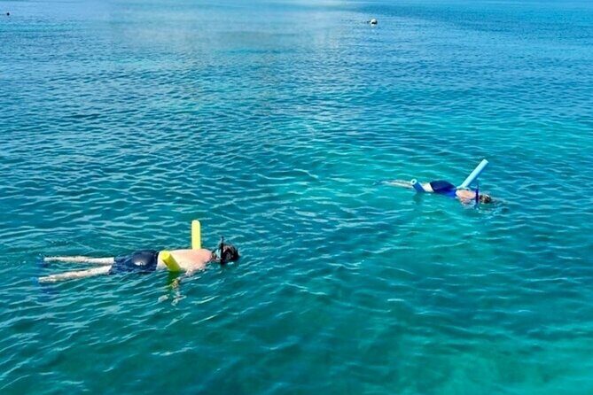 Key West Private 6-Person Sandbar & Snorkeling Charter - A 4-Hour Private Charter With Real Captain Time
