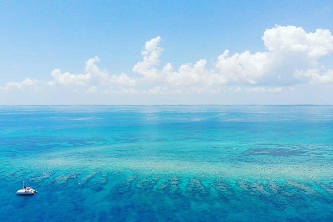 Key West Reef Morning Snorkeling with Breakfast and Mimosas - What You’ll See Underwater: Sea Turtles, Coral, and Tropical Fish