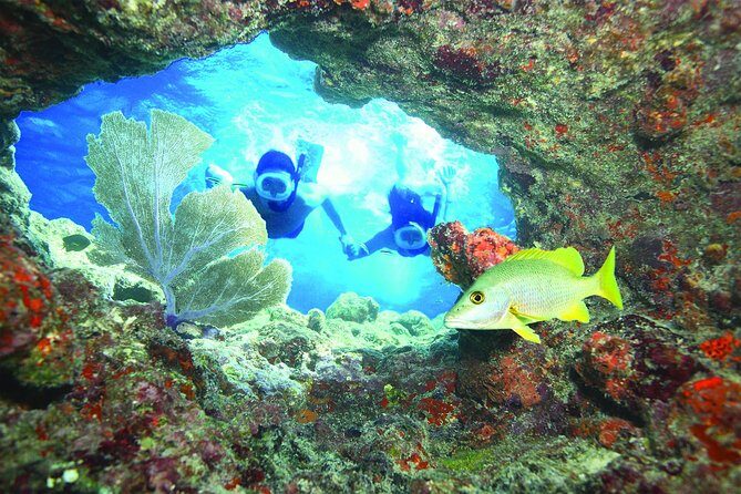 Key West Reef Snorkel – Morning Mimosas or Afternoon Margaritas - Key West Reef Snorkel Highlights You’ll Feel Immediately