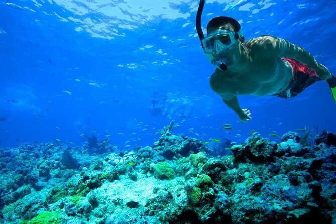 Key West Reef Snorkel – Morning Mimosas or Afternoon Margaritas - The Snorkel Part: Stairway Entry, Real Instruction, and Gear That Works