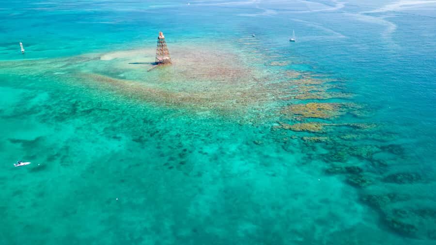 Key West: Reef Snorkel Morning Tour with Breakfast & Mimosas - Key things to know before you go