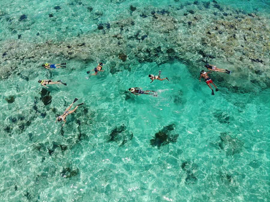 Key West: Reef Snorkel Morning Tour with Breakfast & Mimosas - Price and value: is $54 fair for 3 hours?