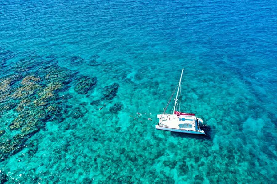 Key West: Reef Snorkel Morning Tour with Breakfast & Mimosas - Who this Key West reef snorkel tour suits best
