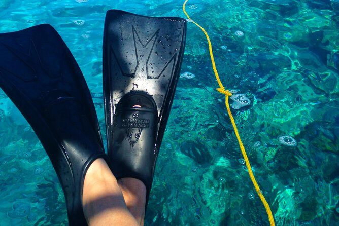 Key West Reef Snorkel & Sail Adventure - Why this Key West sail-snorkel works so well