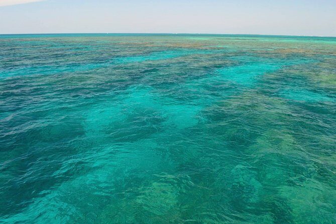 Key West Reef Snorkel & Sail Adventure - What you actually get: sanitized gear, drinks, and safety help