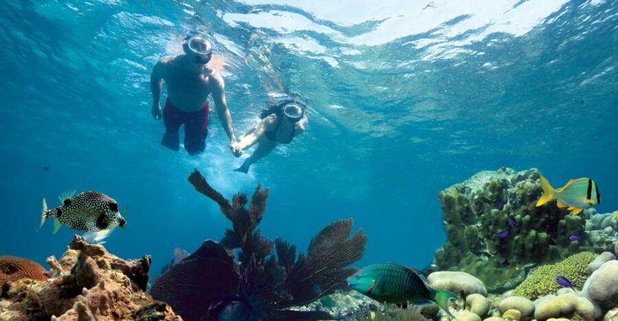 Key West: Reef Snorkeling with Drinks and Sunset Option - Key Things I’d Plan Around