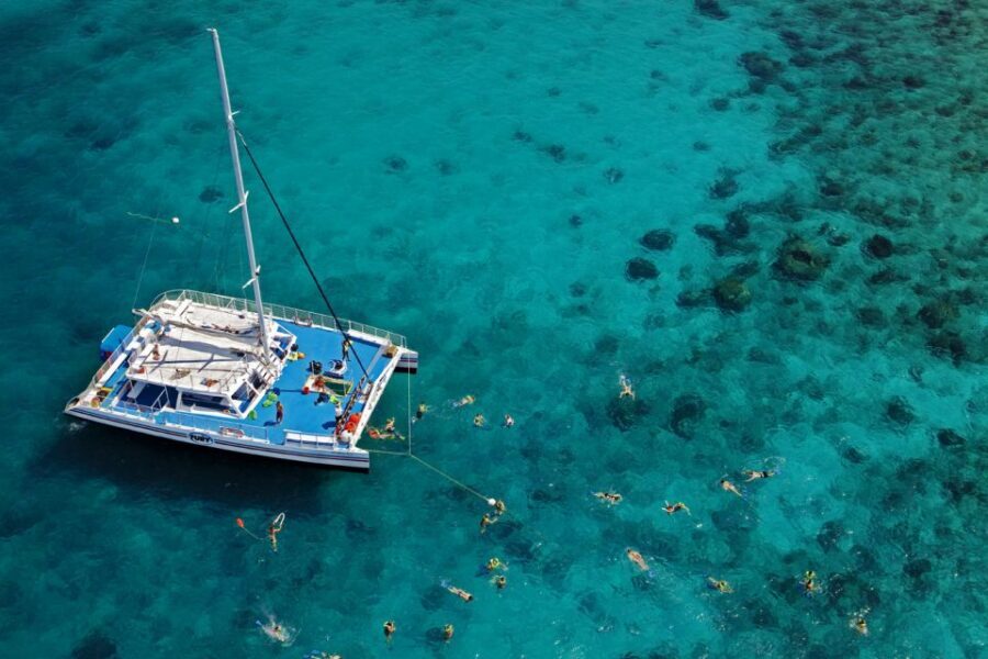 Key West: Reef Snorkeling with Drinks and Sunset Option - A Catamaran Reef Trip That Turns Snorkel Time Into a Real Afternoon