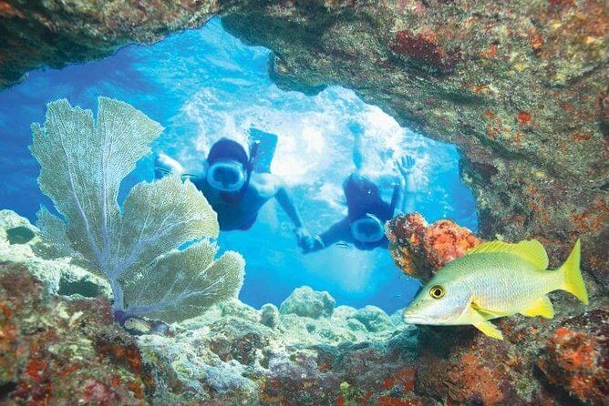 Key West Rum and Reggae: Reef Snorkel Adventure and Sunset Sail - Value for $59.95: What You Get, What You Pay Extra For