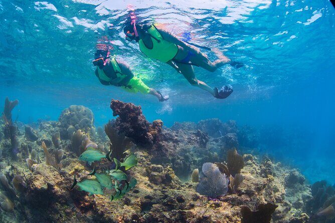 Key West Rum and Reggae: Reef Snorkel Adventure and Sunset Sail - Who Should Book This Rum and Reggae Sail