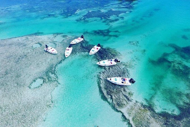 Key West Safari Eco Sandbar Tour Adventure with Snorkeling - Key Things You’ll Appreciate on This Safari Snorkel Trip