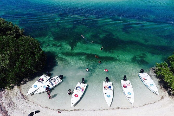 Key West Safari Eco Sandbar Tour Adventure with Snorkeling - Price and Value: What $197.12 Covers for Up to Two