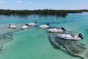Key West Safari Eco Sandbar Tour Adventure with Snorkeling - Stock Island Check-In and the Boater Safety Requirement
