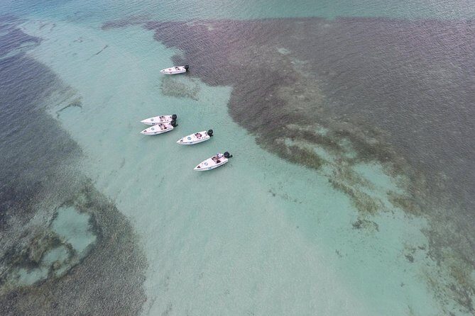 Key West Safari Eco Sandbar Tour Adventure with Snorkeling - Snorkeling Expectations: Warm Water, but Conditions Vary