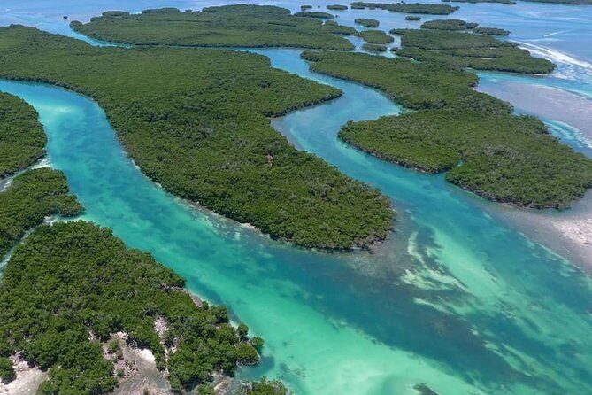 Key West Safari Eco Sandbar Tour Adventure with Snorkeling - Wildlife Spotting on the Cow Key Channel and Key West Waters