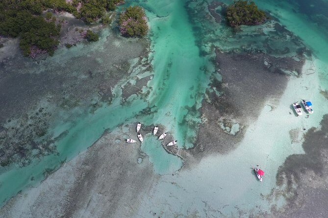 Key West Safari Eco Sandbar Tour Adventure with Snorkeling - Who’s This For (and Who Might Want a Different Day)?