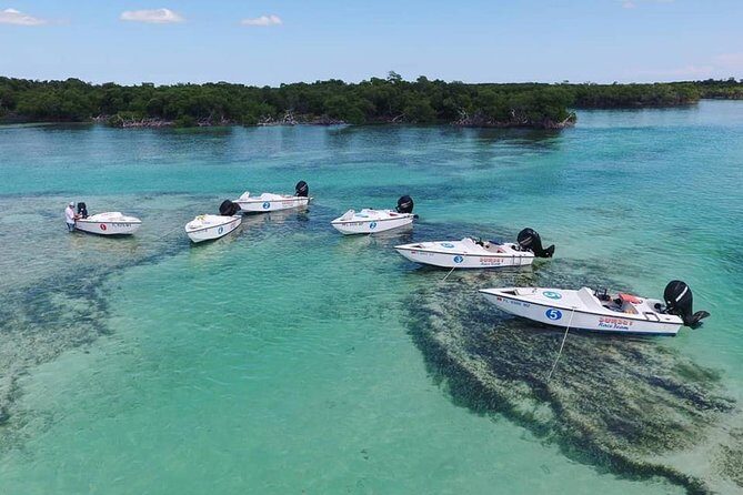 Key West Safari Eco Sandbar Tour Adventure with Snorkeling - Stock Island Check-In and the Boater Safety Requirement