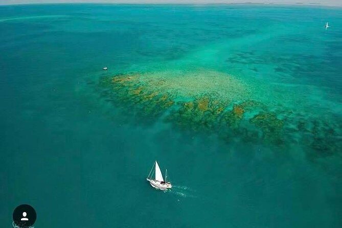 Key West Sailing & Snorkeling: A Reef Adventure - Who might want to rethink it