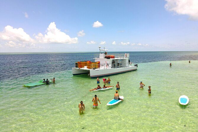 Key West Sandbar Charter With Kayak Tour: Includes Lunch & Drinks - First stop: kayaking the mangroves, not the crowds
