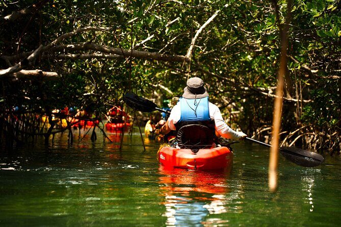 Key West Sandbar Charter With Kayak Tour: Includes Lunch & Drinks - Price and value: is $149.95 a fair deal for 5 hours?
