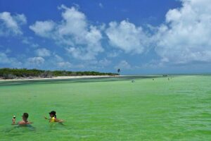 Key West Sandbar Excursion & Island Adventure Cruise - The 4-hour rhythm: what happens from marina to anchor