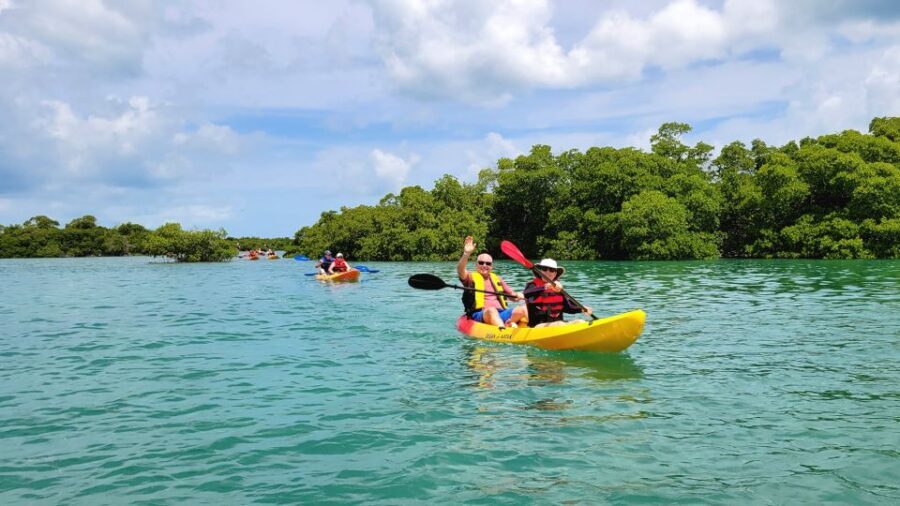 Key West: Sandbar Excursion & Kayak Tour with Lunch & Drinks - Lunch Options and Unlimited Drinks After You Eat