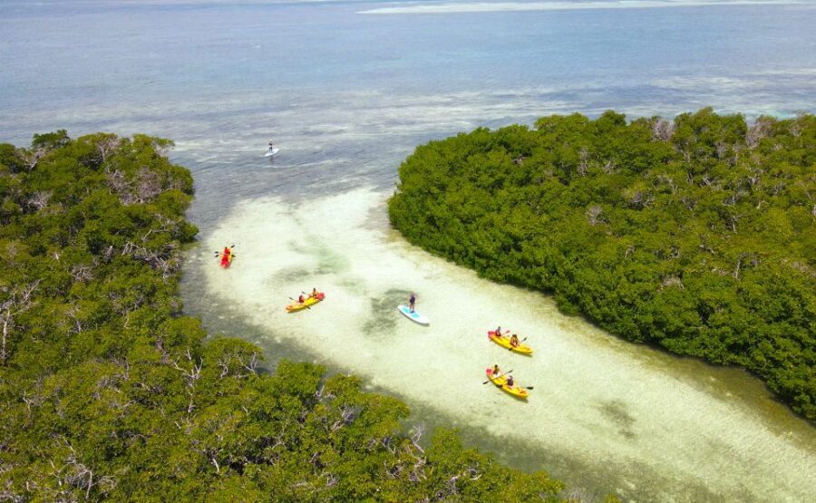Key West: Sandbar Excursion & Kayak Tour with Lunch & Drinks - What It Costs and Why It Can Feel Fair