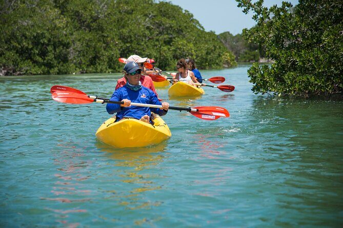 Key West Schooner Backcountry Eco Tour Sail Snorkel and Kayak - Getting Back Aboard: The Platform and Ladder Step You Should Prepare For