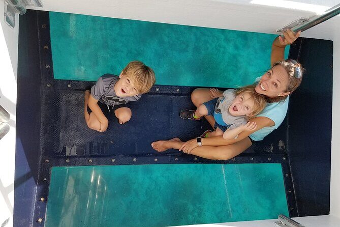 Key West: Snorkel, Sandbar & Dolphin Excursion - Dolphins and Other Marine Life: How the Captain’s Approach Makes It Work