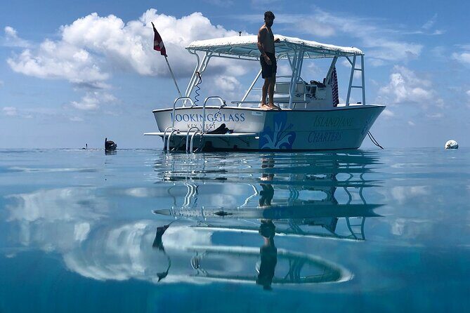 Key West: Snorkel, Sandbar & Dolphin Excursion - The Real Value of $800 for Up to 6 People