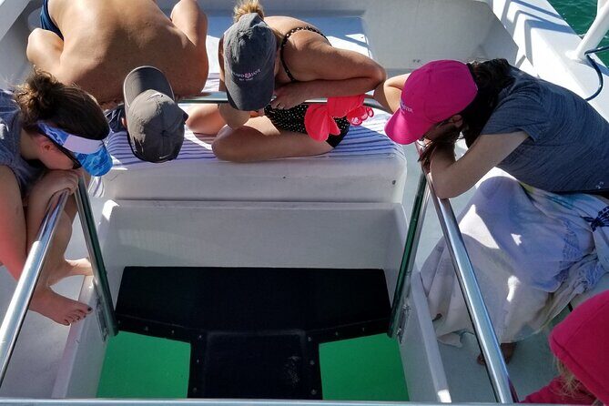 Key West: Snorkel, Sandbar & Dolphin Excursion - Weather and Sea Conditions: When the Plan Needs Flexibility